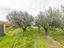 Immagine 22