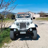 JEEP  CJ7 RENEGADE 1981 ASI