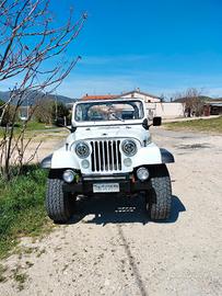 JEEP  CJ7 RENEGADE 1981 ASI