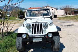 JEEP  CJ7 RENEGADE 1981 ASI
