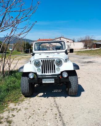 JEEP  CJ7 RENEGADE 1981 ASI