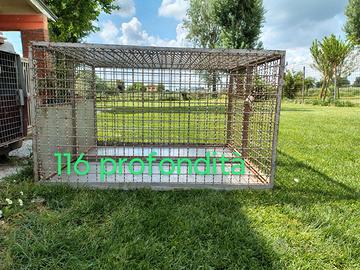 Kennel doppio