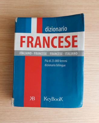 Dizionario francese tascabile 
