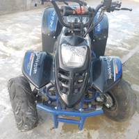 Quod pari al nuovo 338 135 3779