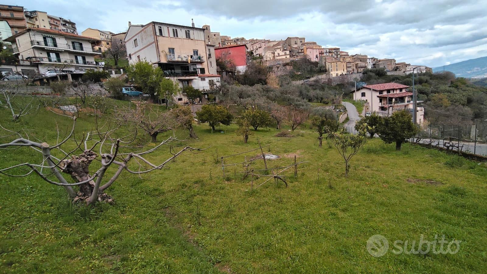 Ampio Terreno Edificabile Montalto Uffugo - Vista 3