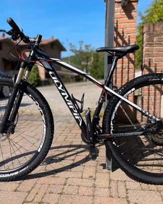 OLYMPIA Drake 1.5 tg S