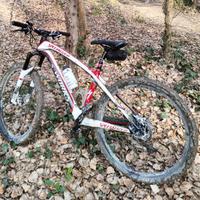 Mountain bike specialized