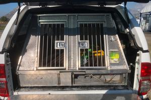 Gabbione Trasporto Cani da Caccia Inox