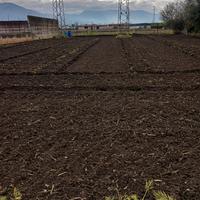 Terreno Edificabile di 783 mq in zona B4