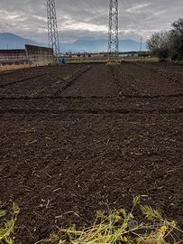 Terreno Edificabile di 783 mq in zona B4