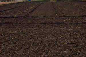 Terreno Edificabile di 783 mq in zona B4