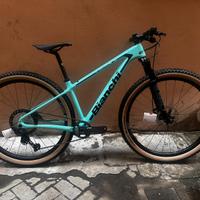 SPECIAL PRICE! Bianchi Methanol CV 2S 29''