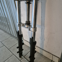 Forcella T max 2009