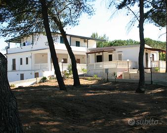 Relax in pineta a due passi dal mare