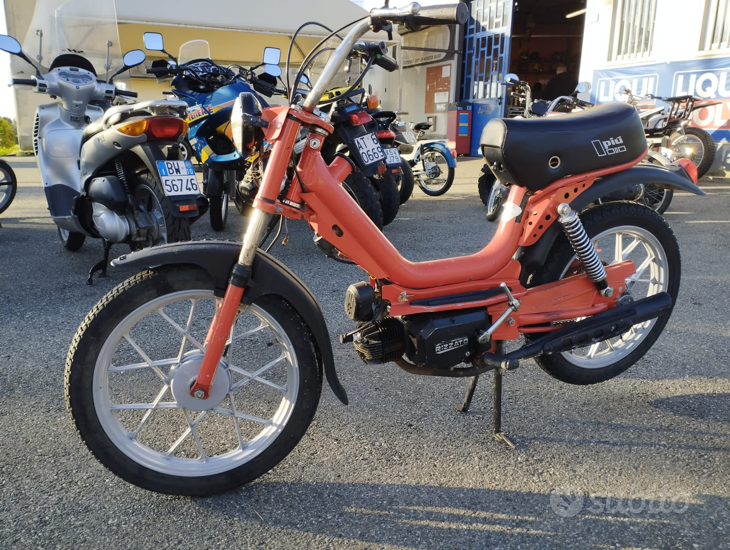 Califfone più rizzato store