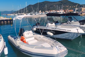 Adventure v-550 motore evinrude etec 40cv