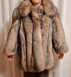 pelliccia volpe della Groenlandia 