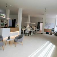LOFT A BRIOSCO