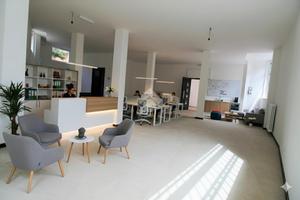 LOFT A BRIOSCO