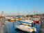 Immagine 5