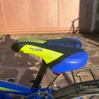 Bicicletta bambino dai 6 anni