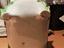 Immagine 5
