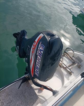 evinrude etec 40 ho 