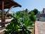 Immagine 29