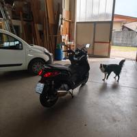 Yamaha X-Max 250 - 2010