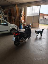 Yamaha X-Max 250 - 2010