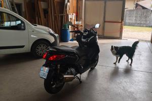 Yamaha X-Max 250 - 2010