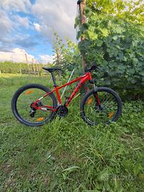 Kellis spider 50 tg S del 2022
