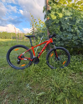 Kellis spider 50 tg S del 2022