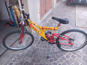 bicicletta 24