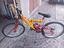 Immagine 1