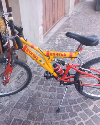 bicicletta 24
