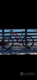 bici full montain