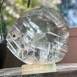 Pesce tropicale in Fluorite arcobaleno