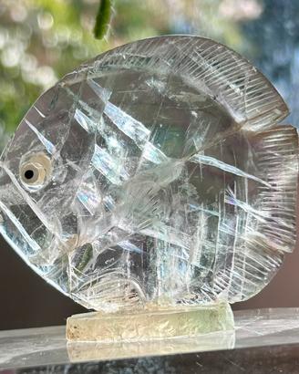 Pesce tropicale in Fluorite arcobaleno