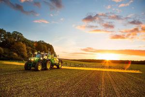 Terreno Agricolo Codevigo [0630232852VCG]