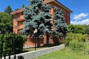 4 LOCALI A CALCO