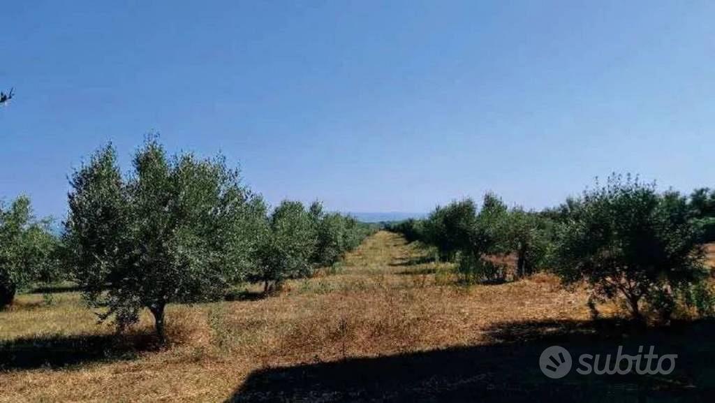 Immobile in asta di 277110 m² a Gioia Tauro - Vista 5