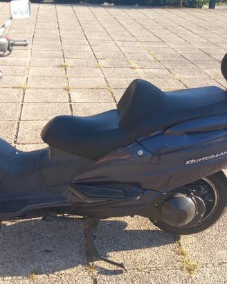 SCOOTER BURGMAN 250