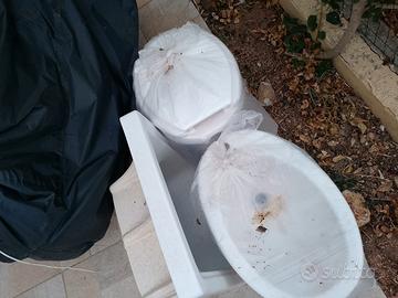 sanitari e lavabo 
