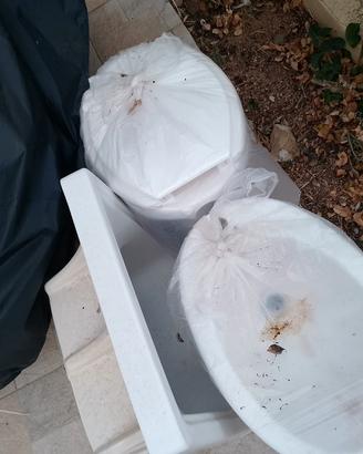 sanitari e lavabo 