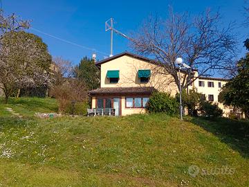 Ristorante, locale commerciale