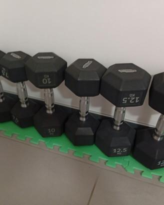 Manubri esagonali Technogym