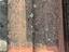 Immagine 6