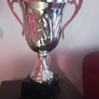 Coppa trofeo sportivo in metallo