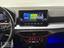 Immagine 12